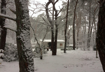 Chalet Het Beerenbos in België, omringd door sneeuwwitte bomen in een vredig winterboslandschap.