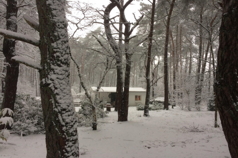 Chalet Het Beerenbos in Belgio, immerso tra alberi innevati in una tranquilla atmosfera invernale.