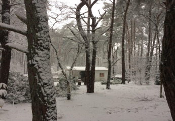 Chalet Het Beerenbos en Bélgica rodeado de árboles nevados en un tranquilo paisaje invernal.