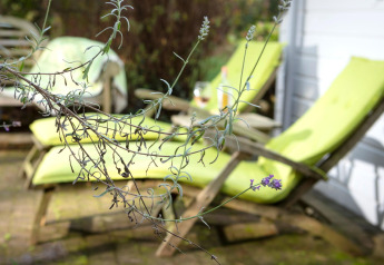 Una rama de lavanda en primer plano y tumbonas verdes detrás en el chalet Het Beerenbos en Bélgica.