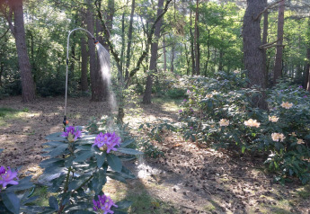 Een sproeier geeft water aan bloemen in de zonnige tuin van chalet Het Beerenbos in België.
