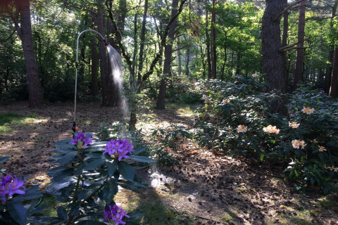 Un irrigatore bagna cespugli fioriti nel soleggiato giardino boschivo dello chalet Het Beerenbos in Belgio.