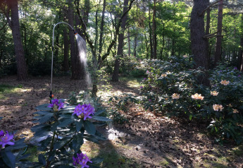 Un aspersor riega arbustos en flor en el soleado jardín forestal del chalet Het Beerenbos en Bélgica.