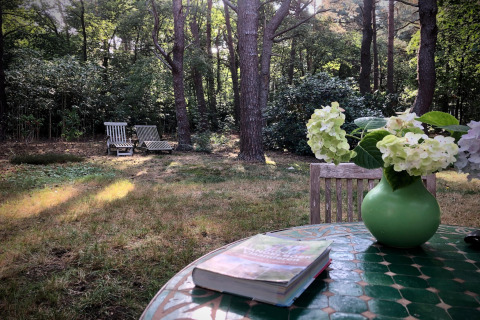Tavolo con vaso di fiori, libro e sedie nel giardino del chalet Het Beerenbos in Belgio.