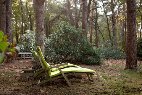 Sdraio con cuscino verde nel giardino boscoso dello chalet Het Beerenbos in Belgio, circondata da alberi.