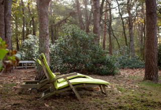 Sdraio con cuscino verde nel giardino boscoso dello chalet Het Beerenbos in Belgio, circondata da alberi.