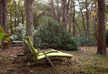 Sillón reclinable con cojín verde en jardín boscoso del chalet Het Beerenbos en Bélgica, rodeado de árboles.