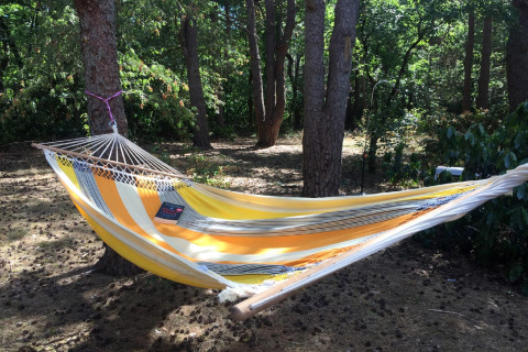 Amaca a righe gialle e bianche appesa tra gli alberi presso chalet Het Beerenbos in Belgio.