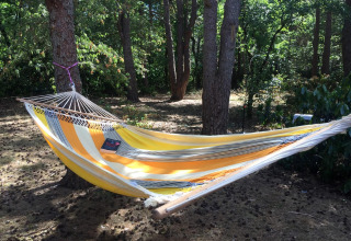 Amaca a righe gialle e bianche appesa tra gli alberi presso chalet Het Beerenbos in Belgio.