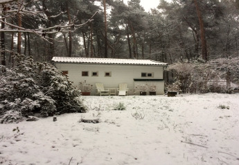 Chalet Het Beerenbos in België, tuin en bos onder een laag sneeuw, met buitenstoelen en planten.