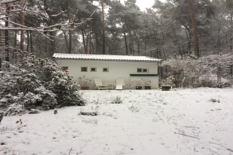 Chalet Het Beerenbos in Belgio innevato, con alberi, piante e sedie da giardino bianche all’esterno.