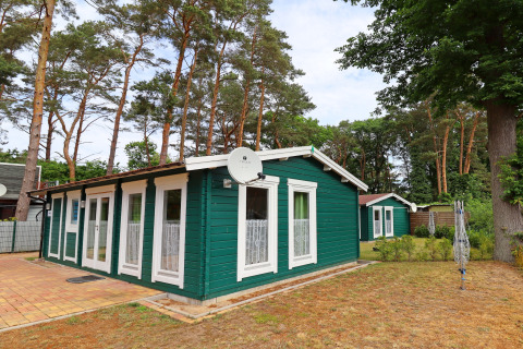 Green wooden cabin Räuberkuhle Koserow with satellite dish, surrounded by tall trees and a natural setting.