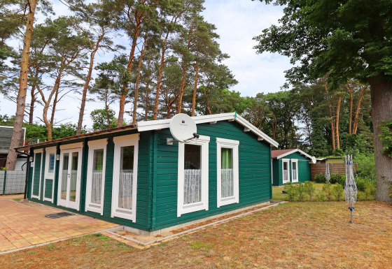 Green wooden cabin Räuberkuhle Koserow with satellite dish, surrounded by tall trees and a natural setting.
