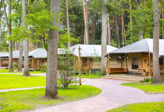 Series of safari tents set up in a wooded area with green lawns and winding paths for camping guests.