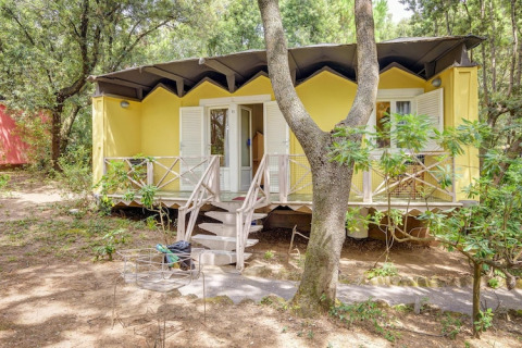 Casa móvil amarilla en un entorno boscoso, con contraventanas blancas abiertas y terraza rodeada de árboles.