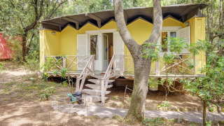 Casa móvil amarilla en un entorno boscoso, con contraventanas blancas abiertas y terraza rodeada de árboles.