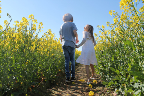 Twee kinderen wandelen hand in hand tussen gele bloemen bij Platz im Grünen 2 in Duitsland onder een blauwe hemel.