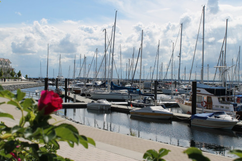 Een rode roos in bloei op de voorgrond, een jachthaven met zeilboten en bewolkte lucht in Duitsland.