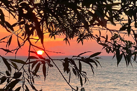 Zonsondergang over het meer gezien door takken bij huisje 'Platz im Grünen 2' in Duitsland.