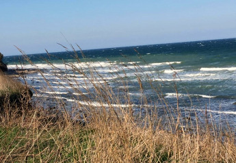 View of the wavy sea and rocky shore through tall grass from the cabin 'Platz im Grünen 2' in Germany.