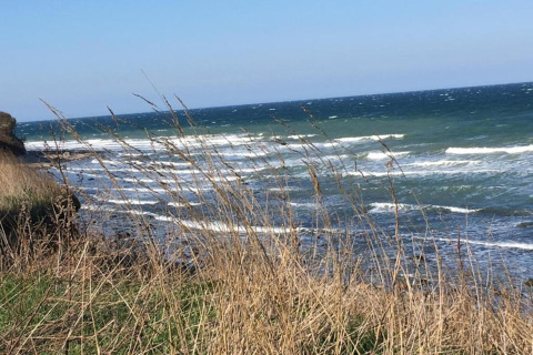 Uitzicht op golvend zee en rotskust door hoog gras nabij de hut 'Platz im Grünen 2' in Duitsland.