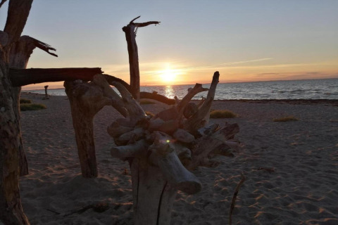 Zonsondergang op het strand bij de hut ‘Platz im Grünen 2’ in Duitsland, drijfhout op de voorgrond.