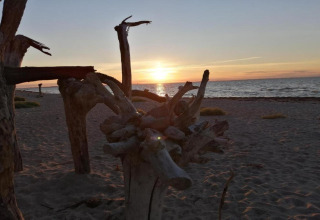 Zonsondergang op het strand bij de hut ‘Platz im Grünen 2’ in Duitsland, drijfhout op de voorgrond.