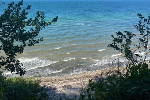 Zicht op een vredig strand en blauwe zee door bomen bij de hut Platz im Grünen 2 in Duitsland.