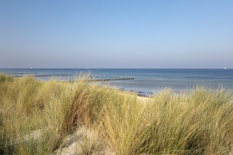 Vista de pasto de dunas y mar sereno desde la playa del complejo Bungalow Gänseblümchen 2 en Alemania.