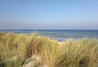 Vista de pasto de dunas y mar sereno desde la playa del complejo Bungalow Gänseblümchen 2 en Alemania.