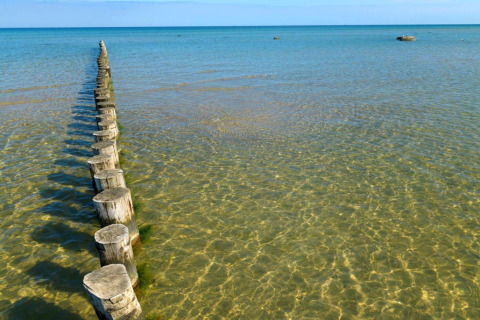 Postes de madera en aguas poco profundas cerca del complejo de bungalows «Gänseblümchen 2» en Alemania.
