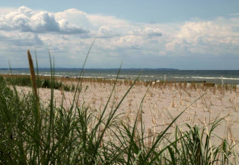 Plage de sable avec herbes et vagues calmes près du complexe Bungalow « Gänseblümchen 2 » en Allemagne.