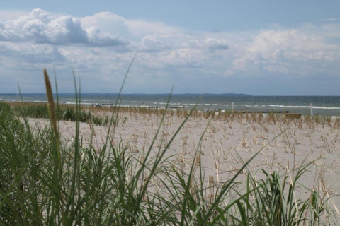 Udsigt over en sandstrand med marehalm og bølger ved havet ved Bungalow kompleks 'Gänseblümchen 2' i Tyskland.