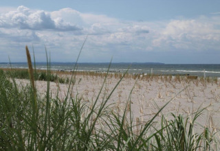 Sandy beach with dune grass and gentle waves near the Bungalow complex ‘Gänseblümchen 2’ in Germany.
