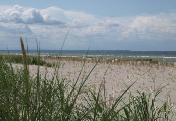 Plage de sable avec herbes et vagues calmes près du complexe Bungalow « Gänseblümchen 2 » en Allemagne.