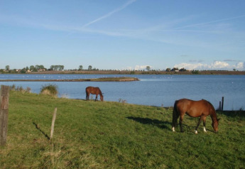Two brown horses graze by a lake near Bungalow complex Gänseblümchen 2 in Germany on a sunny afternoon.