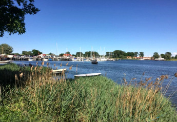 Vue sur un port paisible avec voiliers, roseaux et arbres près du complexe Bungalow Gänseblümchen 2 en Allemagne.