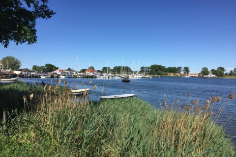 Vista de un puerto tranquilo con veleros, juncos y árboles cerca del complejo Bungalow Gänseblümchen 2 en Alemania.