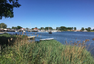 Vista de un puerto tranquilo con veleros, juncos y árboles cerca del complejo Bungalow Gänseblümchen 2 en Alemania.