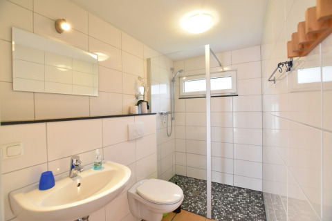 Modern bathroom with shower, toilet and sink in Bungalow complex «Gänseblümchen 7» in Germany.