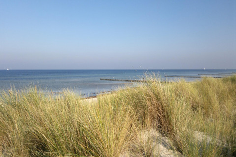View of the Baltic Sea with dunes and beach grass near Bungalow complex Gänseblümchen 7 in Germany.