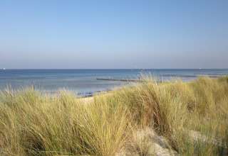 View of the Baltic Sea with dunes and beach grass near Bungalow complex Gänseblümchen 7 in Germany.