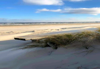 Blick auf einen ruhigen Sandstrand mit Dünen und Meer, aufgenommen von einer Glamping-Unterkunft.