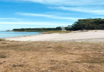 Vue sur la plage près du complexe de bungalows Gänseblümchen 7 en Allemagne, avec sable, mer et arbres.