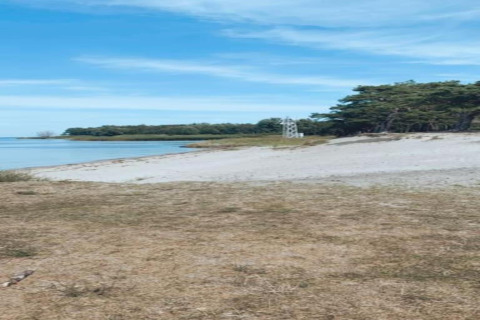 Beach view near Bungalow complex Gänseblümchen 7 in Germany, showing sand, sea, trees and blue sky.
