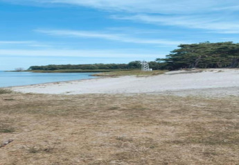 Vue sur la plage près du complexe de bungalows Gänseblümchen 7 en Allemagne, avec sable, mer et arbres.