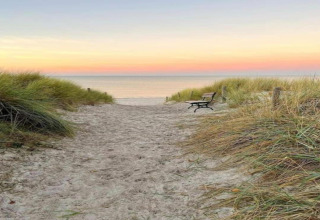 Sandy beach path with bench and dune grass at sunset, taken at Bungalow complex Gänseblümchen 7 in Germany.