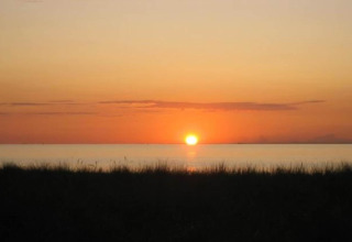 Sunset over the sea as seen from Bungalow complex «Gänseblümchen 7» in Germany, with silhouetted grass.