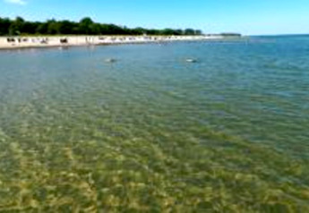 Eau claire et peu profonde sur une plage près d'une cabane, avec des gens et des arbres en arrière-plan.