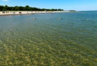 Clear, shallow water at a beach near a cabin with people on the shore and green trees in the background.